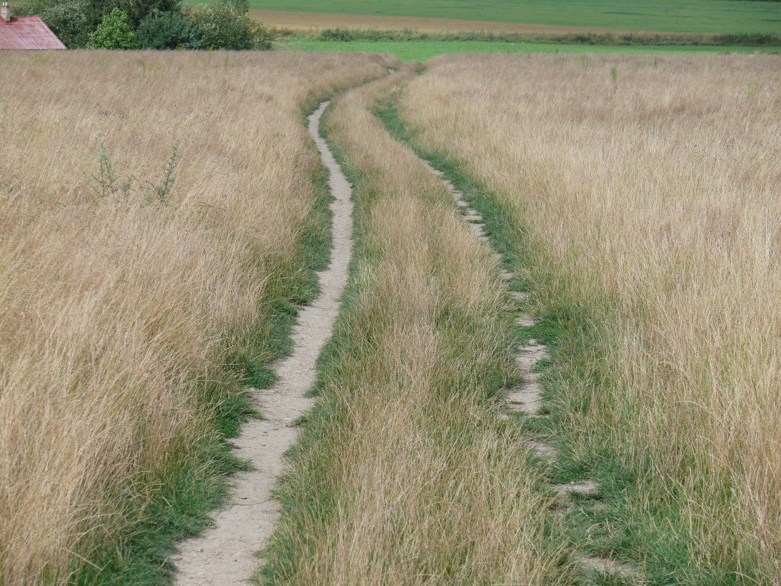P1020550.JPG