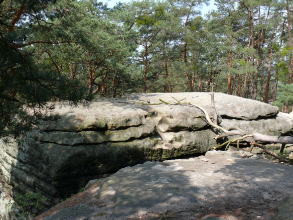P1000484.jpg