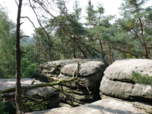 P1000485.jpg