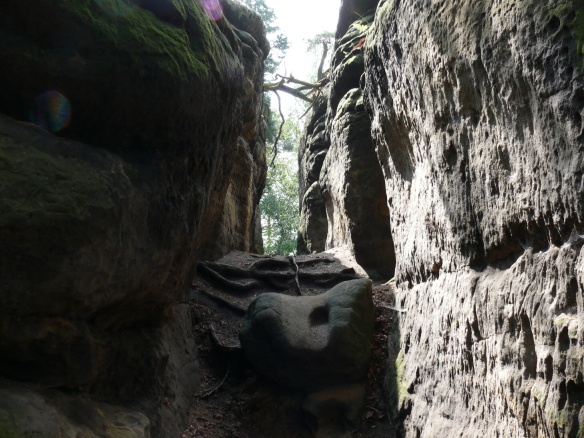 P1000491.jpg
