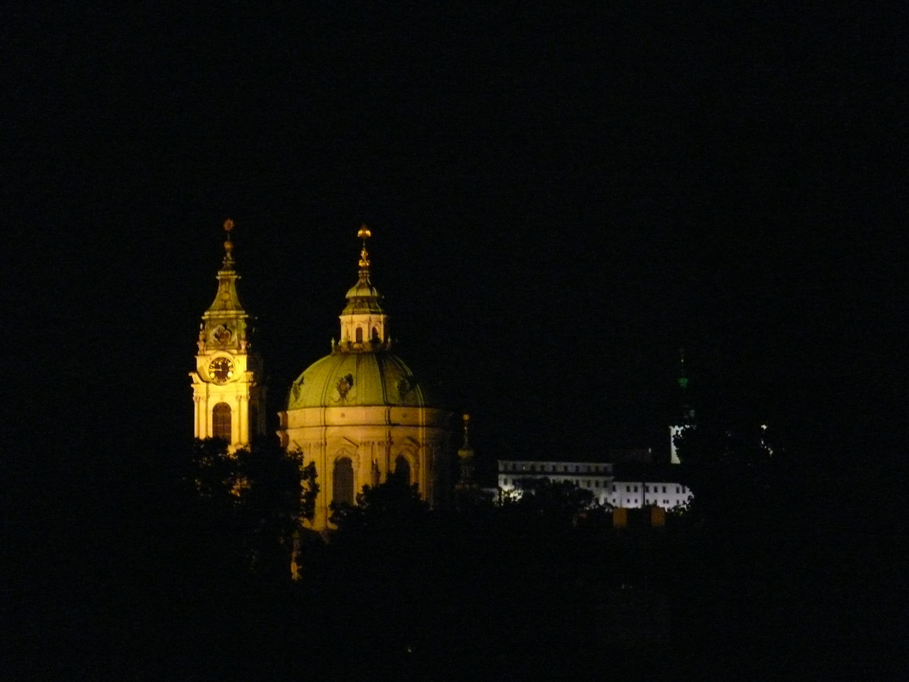 P1000730.jpg