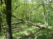 P1020168.jpg